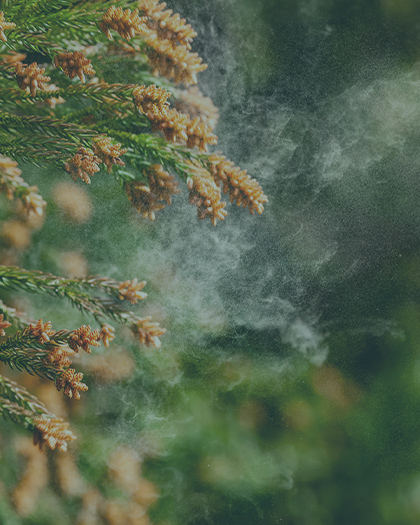 アレルギー性結膜炎